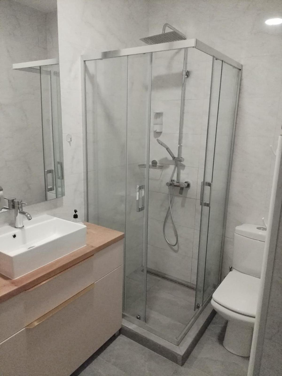 Apartment Centrum - Free Private Parking Novi Sad Dış mekan fotoğraf