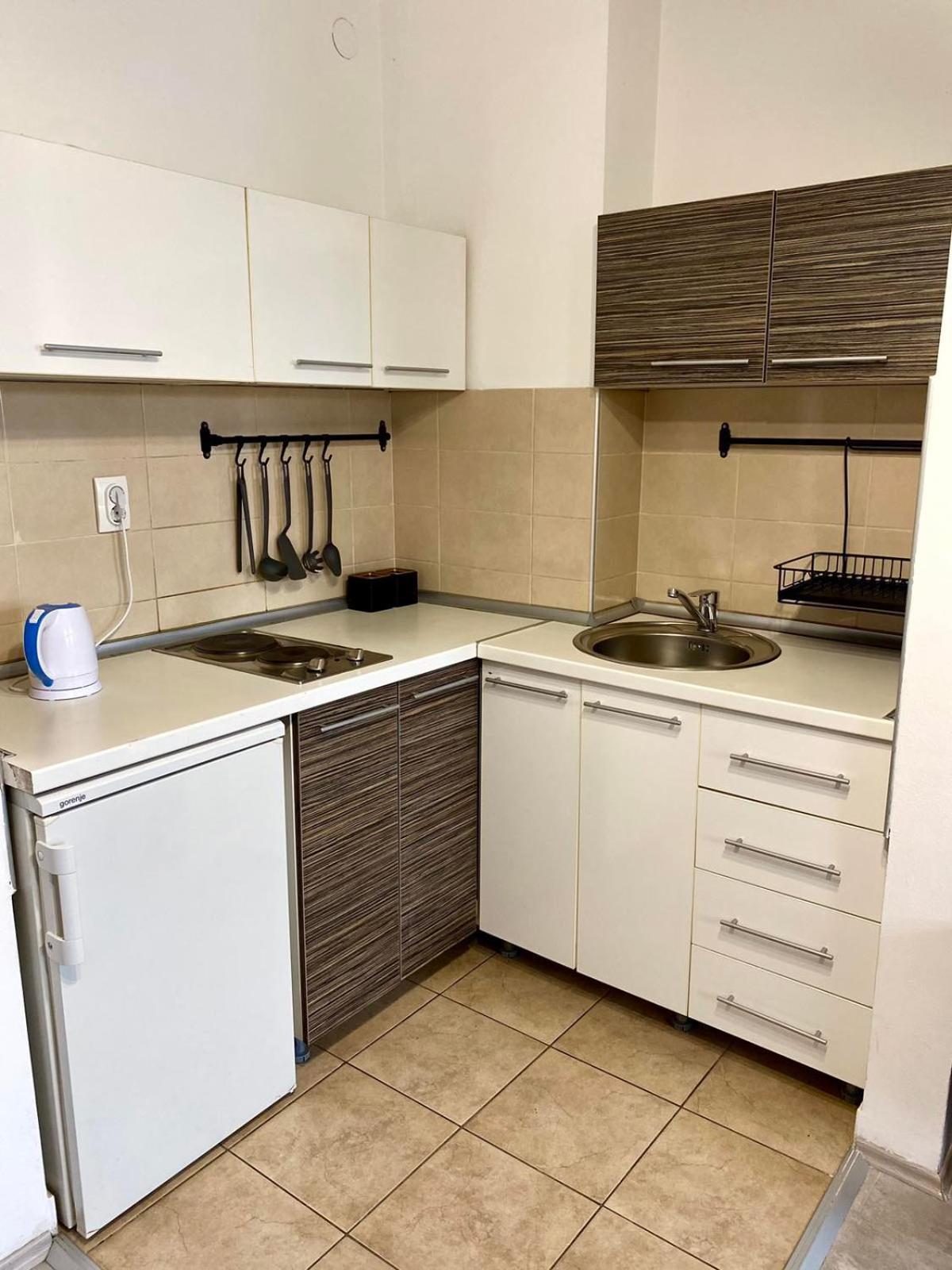 Apartment Centrum - Free Private Parking Novi Sad Dış mekan fotoğraf